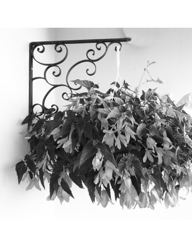 Équerre/potence murale en fer forgé main ELEGANCE