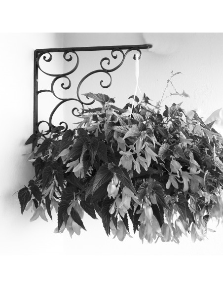 Équerre/potence murale en fer forgé main ELEGANCE